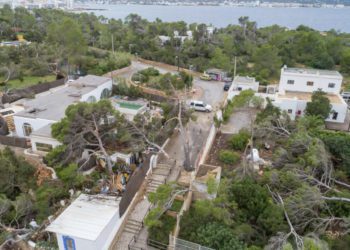 Destrozos que dejó a su paso el cap de fibló de Sant Antoni en 2019.