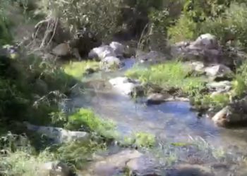 Es Broll de Buscastell.