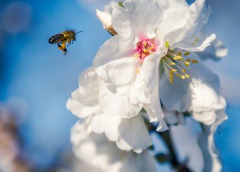 Fotografía de Toni Planells, Untaltoni.