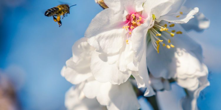 Fotografía de Toni Planells, Untaltoni.