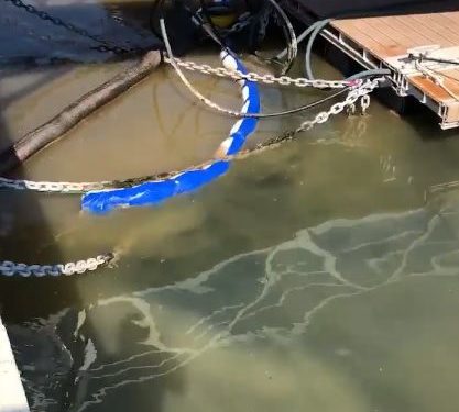 Imagen de archivo de un vertido de fecales en el puerto de Ibiza.