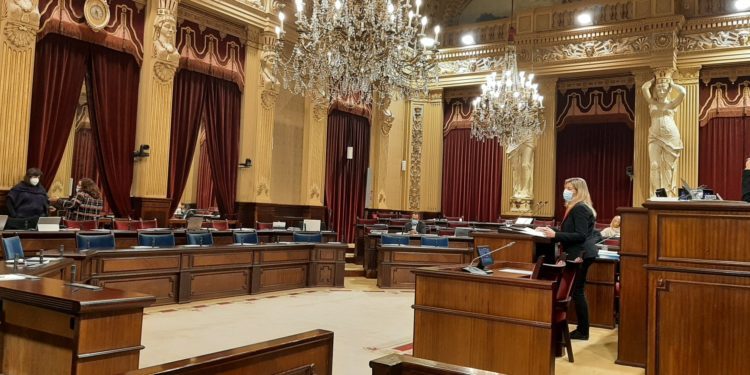 Patricia Gómez habla ante un Parlament casi vacío durante el debate sobre la sanidad en Formentera. Foto de Miquel Adrover (Twitter)