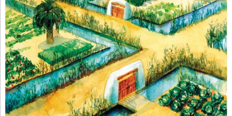 Ilustración de Rita Bretones para el libro 'En Lluc Daifa i es horts de ses Feixes' que recrea cómo eran estos espacios cuando se destinaban al cultivo. GEN-GOB