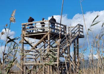 Imatge de la presentació.