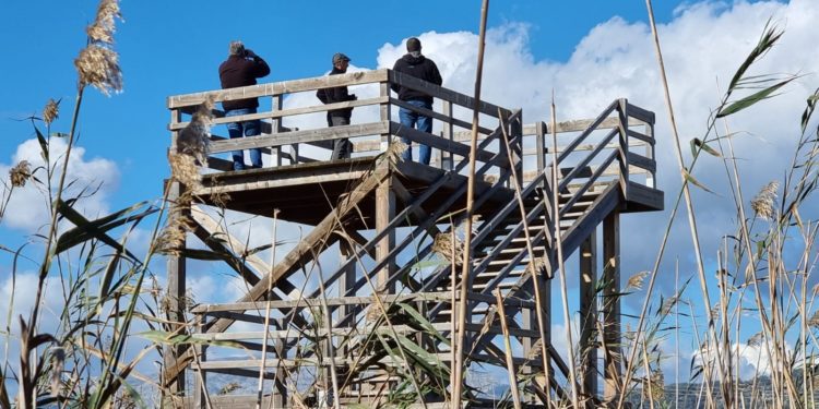 Imatge de la presentació.