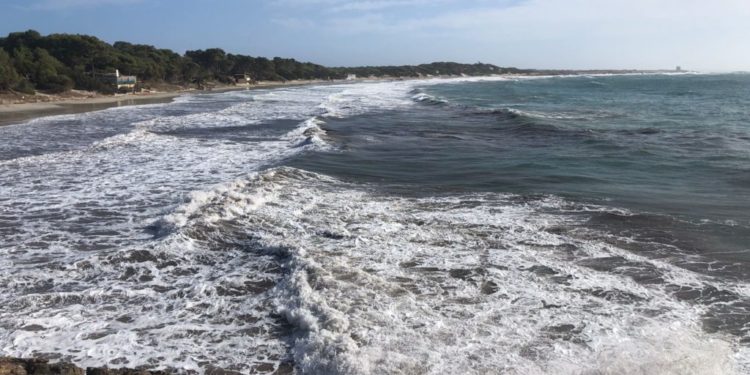 Día de viento en ses Salines, en una imagen de archivo.
