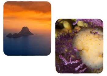 Una imagen del organismo marino con el que se hace el medicamento junto a es Vedrà. Imagen de PharmaMar