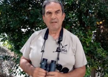 Imagen de Josep Manchado. RR SS.