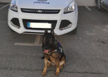 Neta, cuando formaba parte de la Unidad Canina de la Policía Local de Formentera.