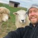 Imagen de Calvin Harris (difundida en su Instagram) junto a dos ovejas.