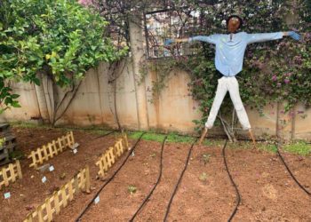 Imatge d'un treball de conscienciació mediambiental realitzat a l’IES Sa Colomina. Consell Insular.