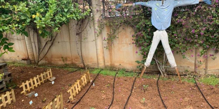 Imatge d'un treball de conscienciació mediambiental realitzat a l’IES Sa Colomina. Consell Insular.