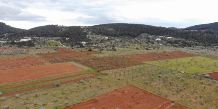 Pla de Corona. Imagen cedida por el Ayuntamiento de Sant Antoni.