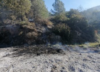 Zona del incendio. Foto IBANAT