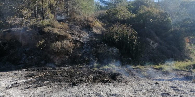 Zona del incendio. Foto IBANAT