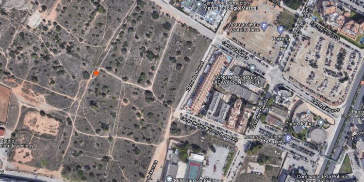 Punto exacto del avistamiento de la serpiente en Ibiza.