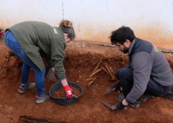 Imatge de l'inici dels treballs d'exhumació al Cementiri Vell d'Eivissa aquest dimecres. CAIB.