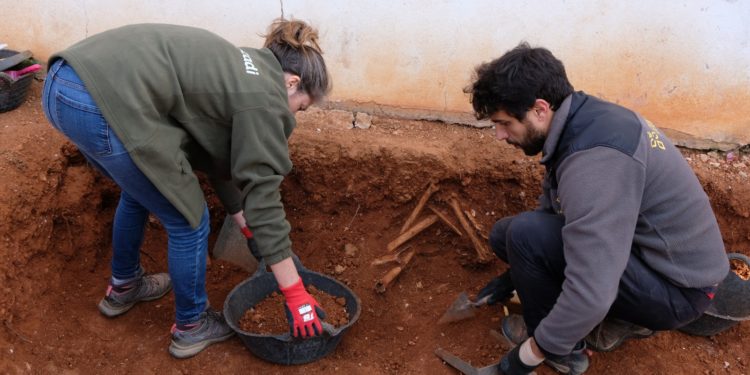 Imatge de l'inici dels treballs d'exhumació al Cementiri Vell d'Eivissa aquest dimecres. CAIB.