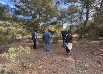 Imatge de l'entorn netejat. Cedida pel Consell d'Eivissa.