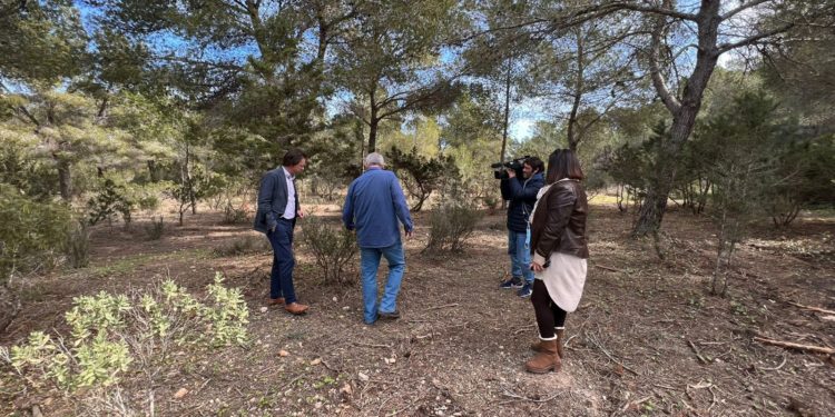 Imatge de l'entorn netejat. Cedida pel Consell d'Eivissa.
