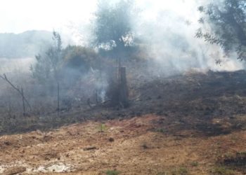 Imagen de un incendio en es Figueral (Santa Eulària) en 2019. Foto Ibanat.