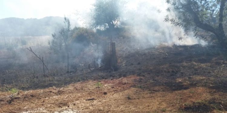 Imagen de un incendio en es Figueral (Santa Eulària) en 2019. Foto Ibanat.