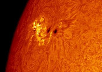 Manchas solares en una imagen de la AAE