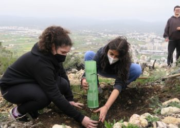 Imagen cedida por el Ayuntamiento de Sant Antoni.