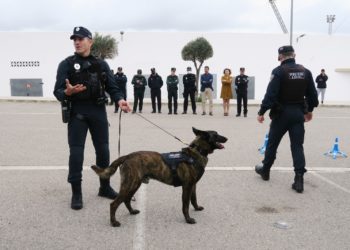 Imagen cedida por el Ayuntamiento de Sant Antoni.