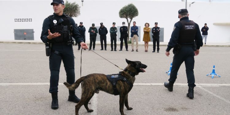 Imagen cedida por el Ayuntamiento de Sant Antoni.