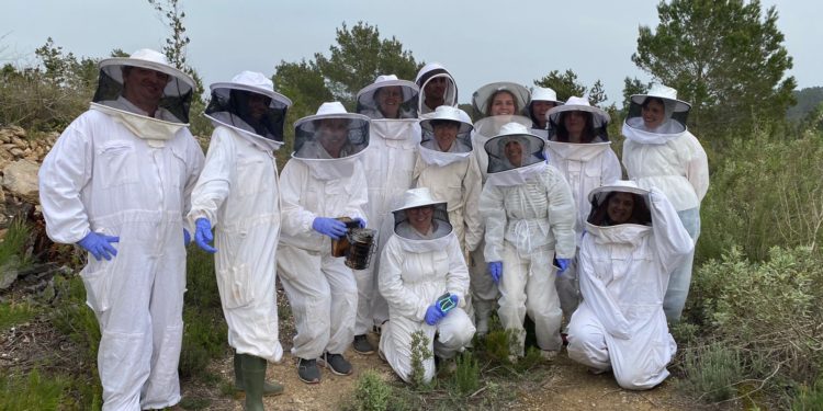 Una visita a las colmenas de abejas en la finca Can Moreno, en Sant Rafel. Imagen cedida por IbizaPreservation.
