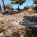Imagen de la quema en una finca de Sant Josep. Difundida por Ibanat en redes sociales.
