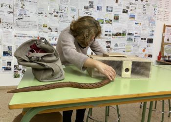 Antònia Cirer muestra cómo funciona una trampa para cazar serpientes al alumnado del CEIP Urgell