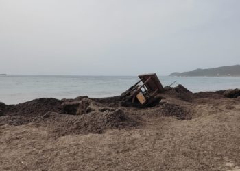 Caseta de los socorristas derribada en Platja d'en Bossa tras el último temporal marítimo y rodeada de posidonia. Foto J. P.