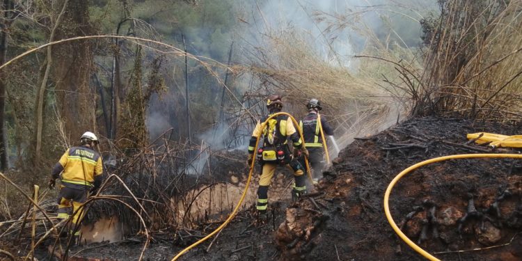 Efectivos del Ibanat trabajando en un incendio en Ibiza en abril. Imagen Ibanat