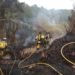 Efectivos del Ibanat trabajando en un incendio en Ibiza en abril. Imagen Ibanat