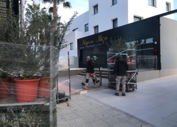 Una empresa de paisajismo surte de plantas a unos apartamentos de Platja d'en Bossa. Foto: L. F. A.