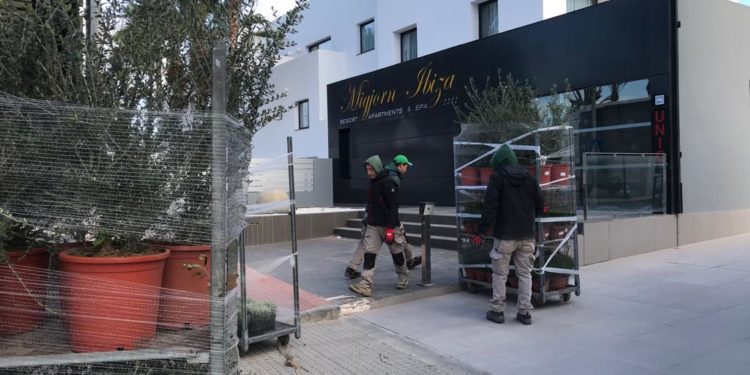 Una empresa de paisajismo surte de plantas a unos apartamentos de Platja d'en Bossa. Foto: L. F. A.