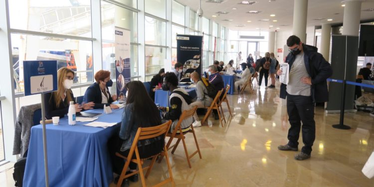 Imagen de la feria de empleo de Sant Antoni durante este jueves. Ayuntamiento de Sant Antoni.