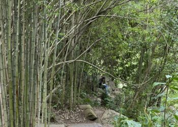 Una lectora en el Jardín Gulbenkian, el pasado 20 de abril.
