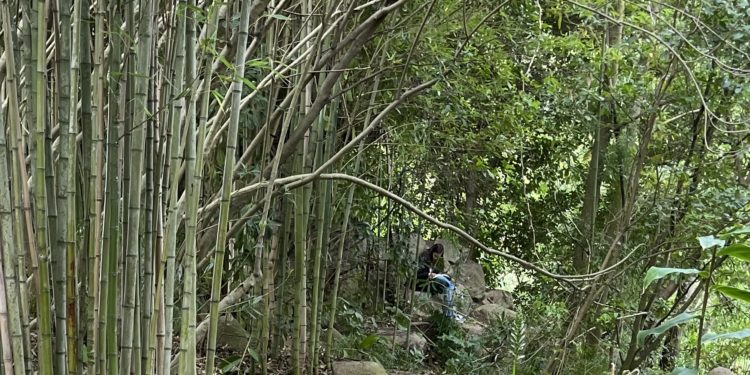 Una lectora en el Jardín Gulbenkian, el pasado 20 de abril.