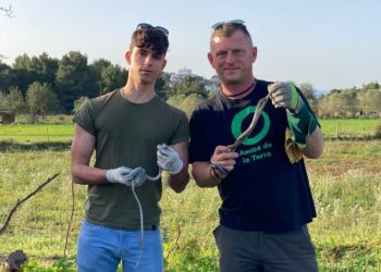 El joven voluntario Hugo y Dean Gallagher sostienen las serpientes con la iglesia de Sant Miquel de fondo.
