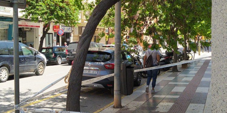 Zona acordonada frente al Consell d'Eivissa.