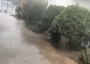 Imagen del vídeo filmado por José Manuel Valera Molina este miércoles en Puig d'en Valls.