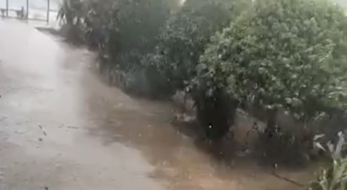 Imagen del vídeo filmado por José Manuel Valera Molina este miércoles en Puig d'en Valls.