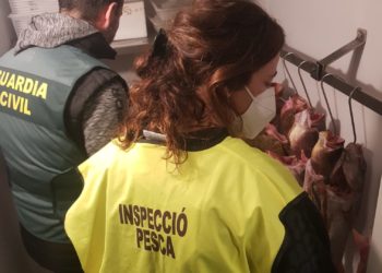 Inspecciones de pesca en Ibiza. Foto Consell