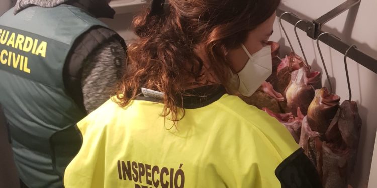 Inspecciones de pesca en Ibiza. Foto Consell