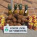 Fruta decomisada en Formentera.