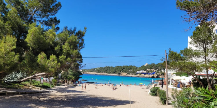 Imatge cedida pel PSOE de Sant Joan.