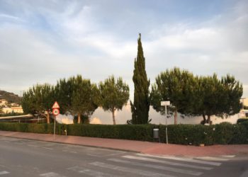 Arbustos entre los que había un hombre herido, en el Centro Cultural de Jesús. Foto: Toni Escandell.